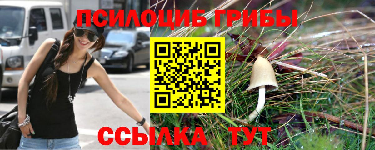 Псилоцибиновые грибы прущие грибы  Вход с VPN  Галлюциногенные грибы MAGIC MUSHROOMS  Нурлат 