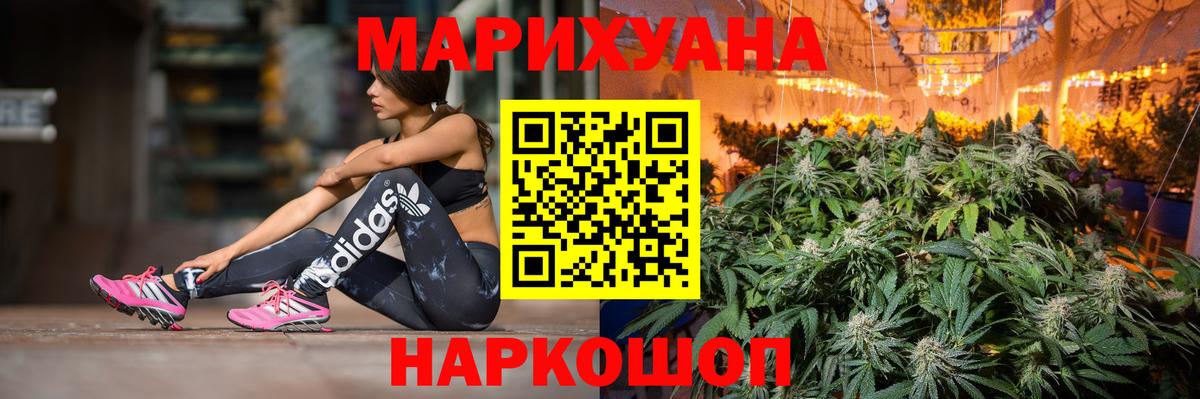 Конопля тримм  Конопля Bruce Banner  Каннабис сатива  Нурлат  Вход с VPN 
